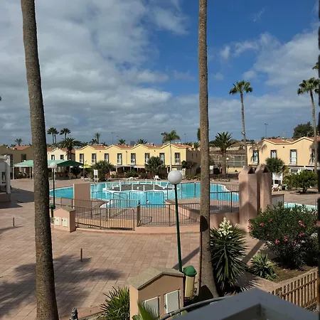 Oasis Paradise